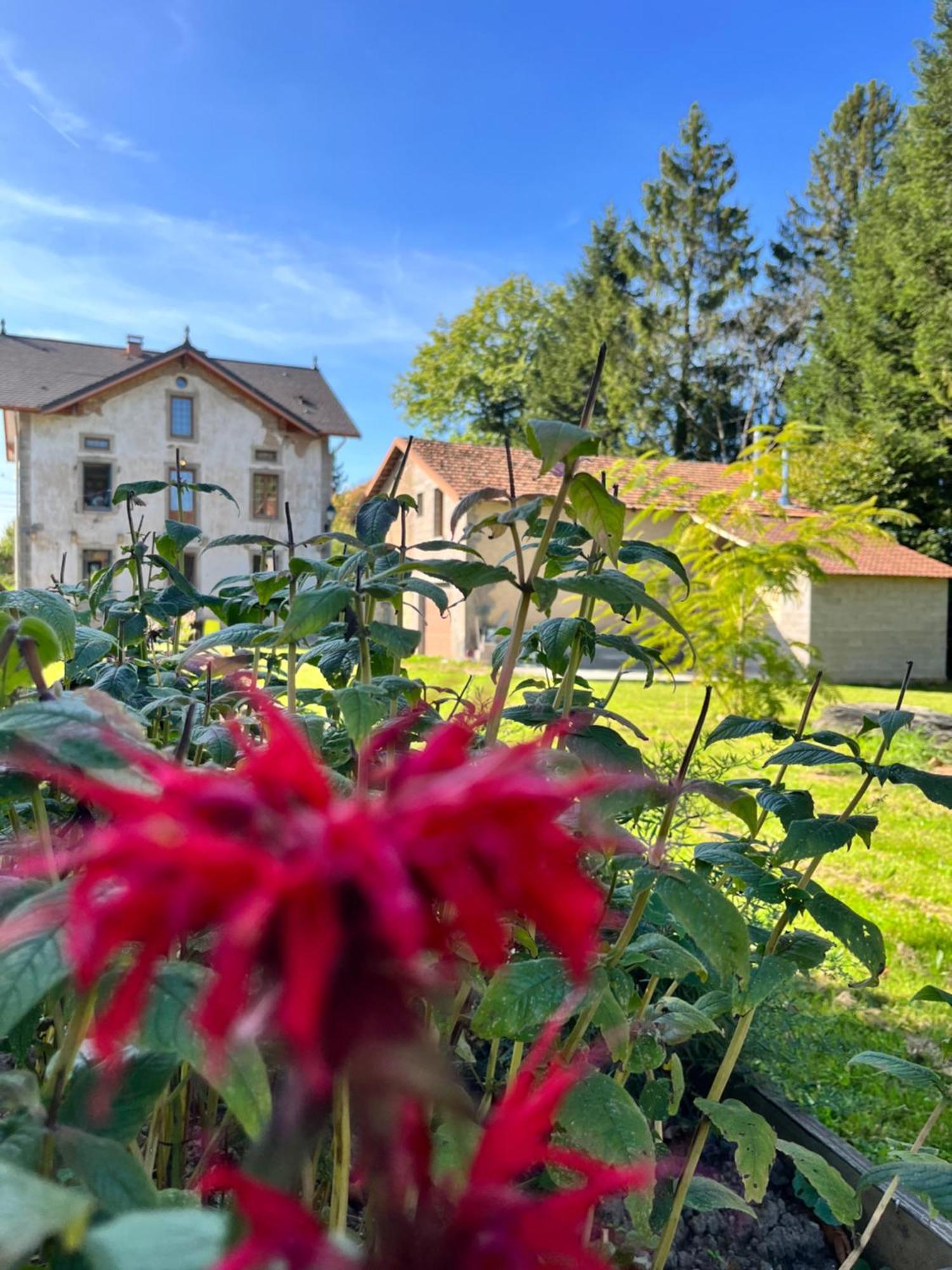 Chambre D'Hote Cosy Domaine Du Bagnerot La Chapelle-aux-Bois Exteriér fotografie